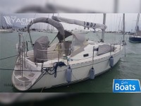Delphia 33