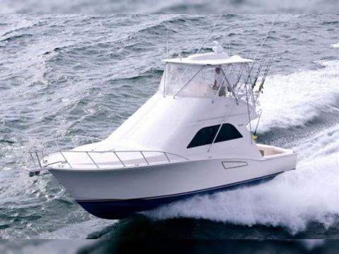 Cabo Flybridge