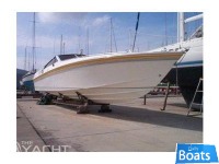 CIGALA E BERTINETTI43 SHARK