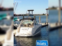 Chaparral 290 Signature