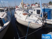 bianca 27