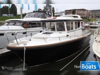 Sargo Sargo31