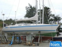 ScanYacht 391