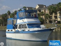 Californian 38 Trawler