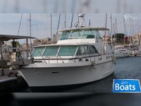 Bertram 38