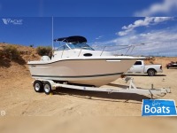 Seaswirl 2100 Wa Striper