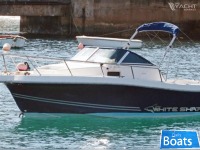 KELT WHITE SHARK 237