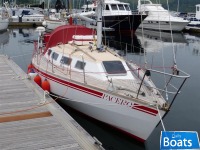 Naja 30