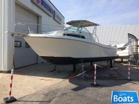 KELT267 SEA HAWK