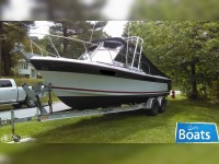 Wellcraft 248 Offshore