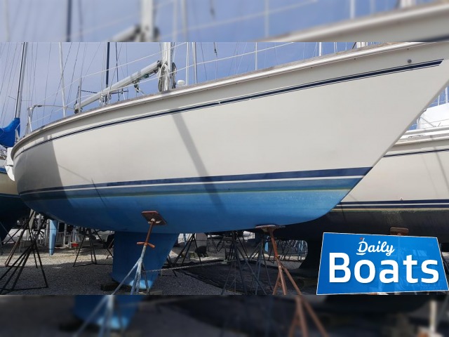 Buy 1988 Pearson 36