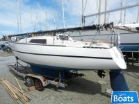 Neptun 27