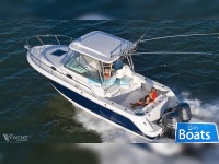 Robalo R305