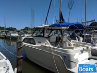 Bayliner Ciera 242 Classic
