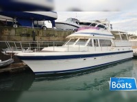 Trader Trader535