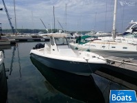 Everglades 295CC
