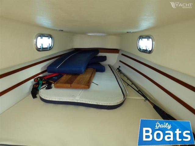 2006 Ribtec 10.50 till salu