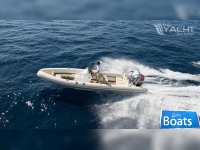 Ribeye 785