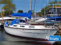 Colvic Countess 28