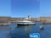 Luhrs Open Fisher 36