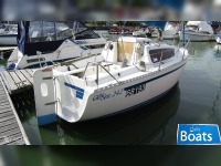 GibSea Gib Sea 242