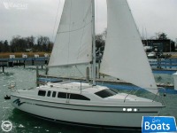 Hunter H 26