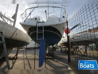 Bavaria 49