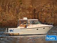 Starmarine 36 Top Fish