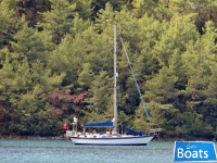 Tayana Vancouver 42