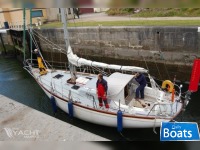 Tradewind Tradewinds 33