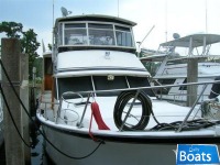 Sea Ranger 52