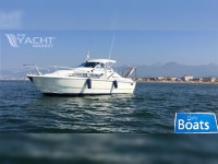 Mochi Craft Dominator 8 V