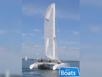 Newick Catamaran