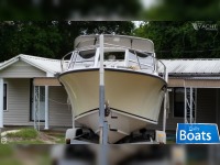 SeaCraft 23 Sceptre