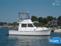 Cape Dory 30 Flybridge