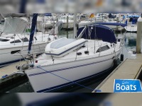 Catalina 385