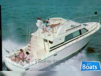 Bertram Yacht 33 Sf