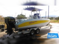 Baja Bajia Sport Fish 250