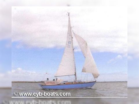 Stella 26