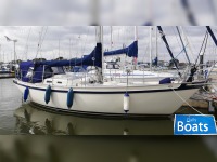 Tradewind 35
