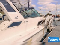 Sea Ray 34 Sundancer