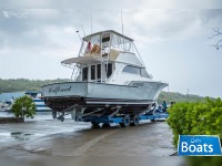 Bertram Convertible