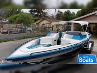 Cole Boats 22.4 SKIER