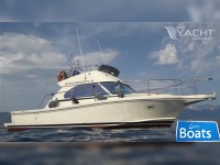 Cayman 30 Fly