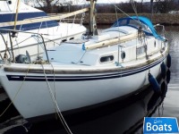 Macwester Wight Series Ii