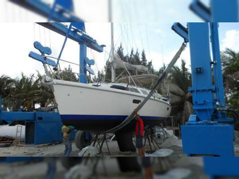 Buy 2000 Hunter 320