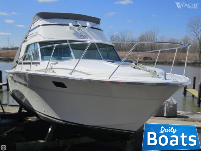 Buy 1977 Silverton 310