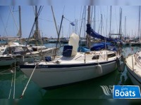 Challenger Trident Marine Uk 35