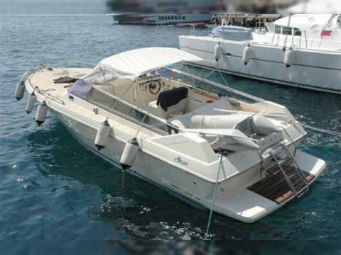 Ilver 31 Duke