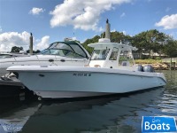 Everglades 325cc